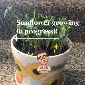 Meet your Posher, Maranda